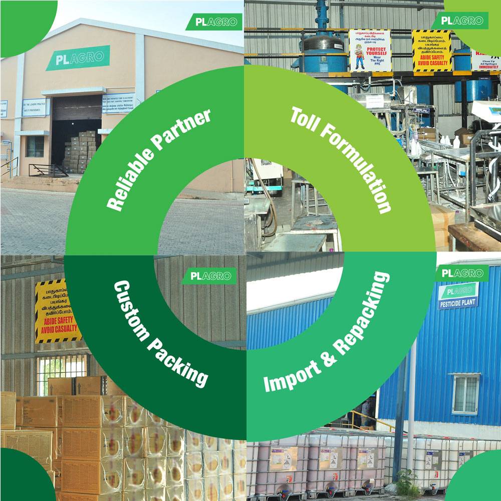 Are you looking for reliable toll formulation or custom packing services?